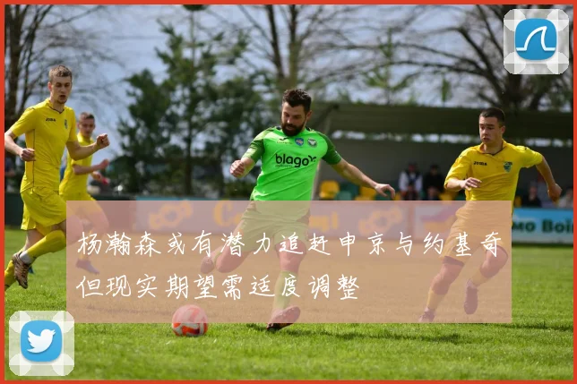 杨瀚森或有潜力追赶申京与约基奇但现实期望需适度调整